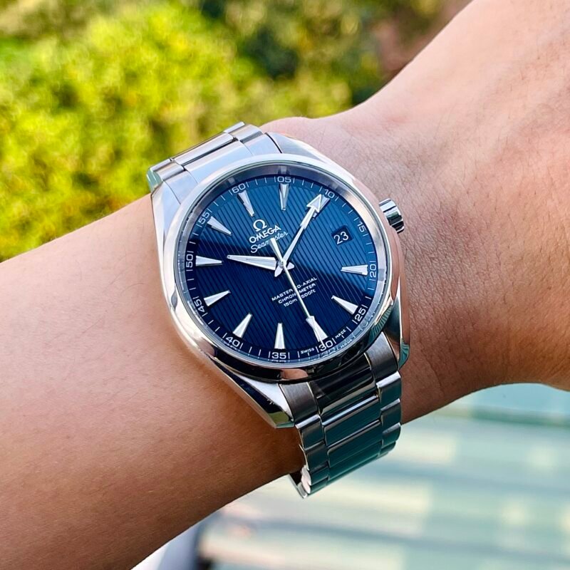 Omega Aqua terra