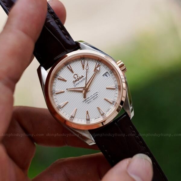 Omega Seamaster Aqua Terra