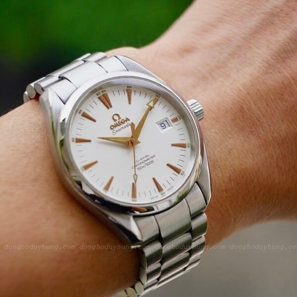Omega Seamaster Aqua Terra 39.2mm