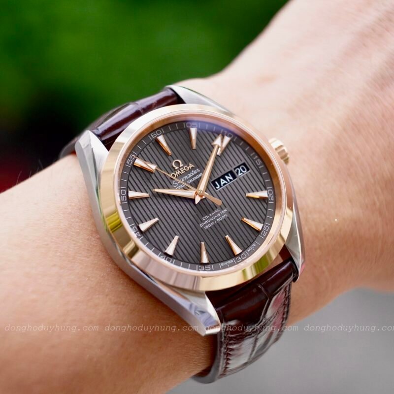 Omega Seamaster Aqua Terra Annual Calendar