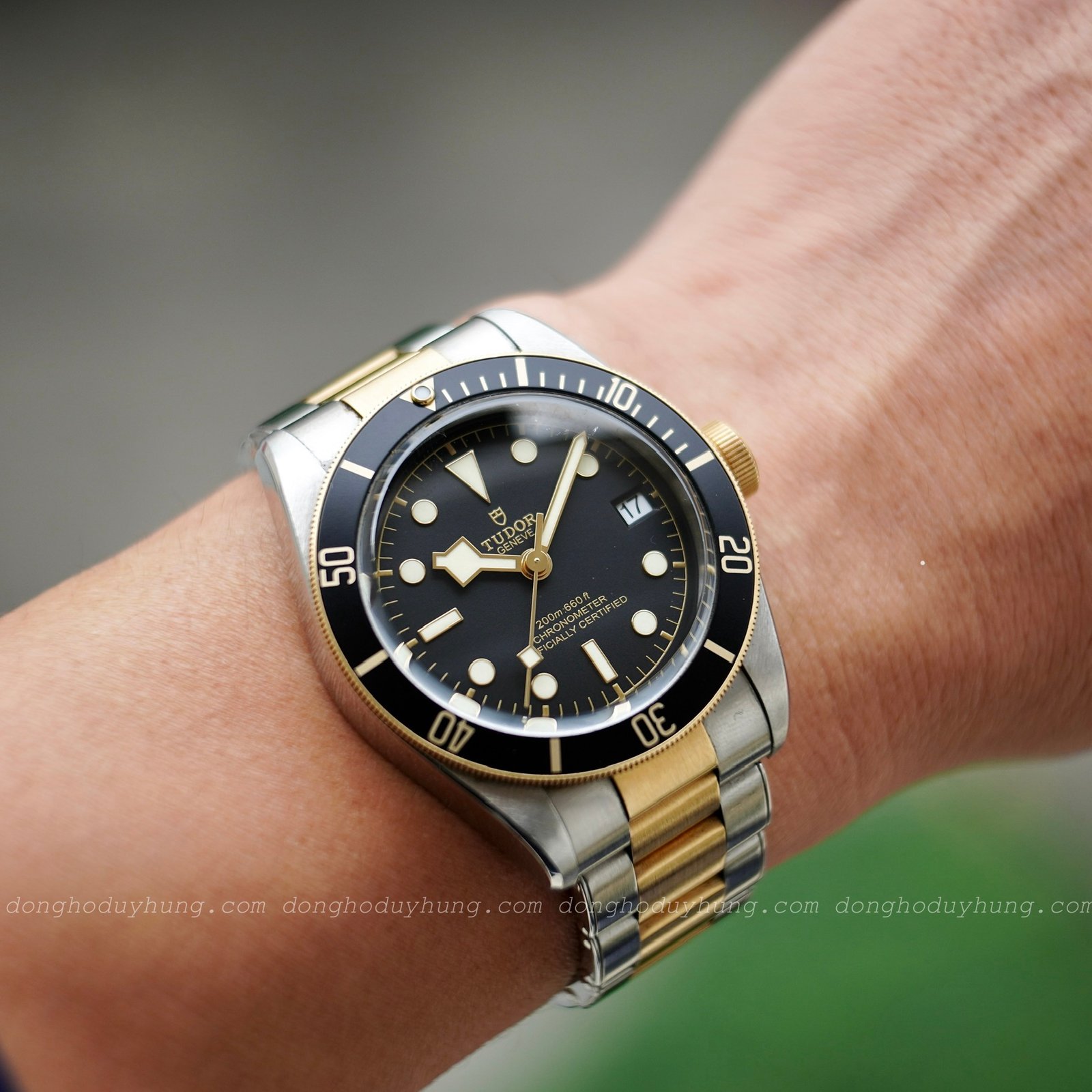 Tudor Black Bay 41mm S&G 79733N