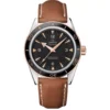 Omega Seamaster 300 Master Co-Axial 233.22.41.21.01.002