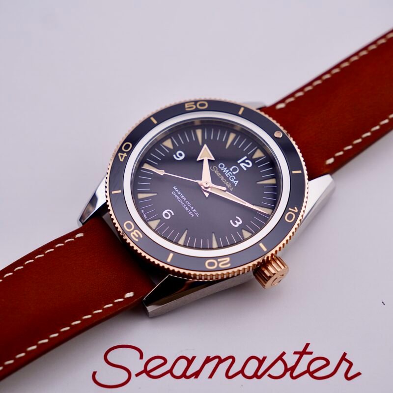 Omega Seamaster 300 Master Co‑Axial