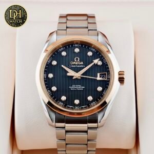 Omega Seamaster Aqua Terra 231.20.39.21.51.003