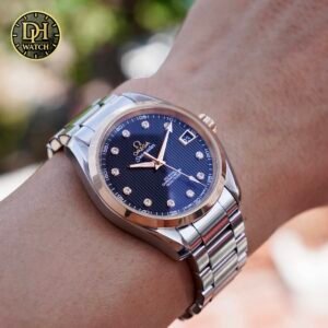 Omega Seamaster Aqua Terra 231.20.39.21.51.003